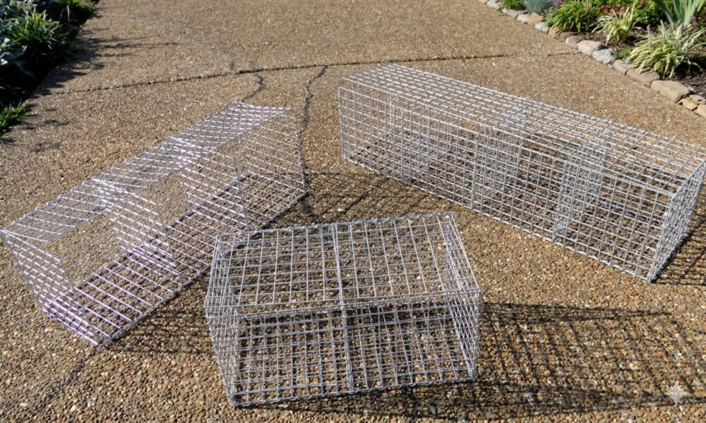 Gemini_Generated_Image_pvcehnpvcehnpvce